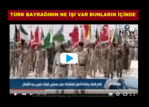 TÜRK BAYRAĞININ NE İŞİ VAR BUNLARIN İÇİNDE