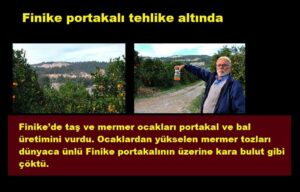 Finike portakalı tehlike altında