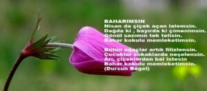 Baharımsın Memleketim.
