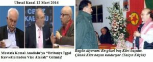 ulusal ceviz