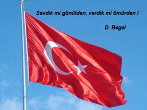 bayrak 1_Copy1