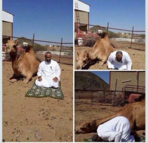 Doğurmayan kadın yarım, namaz kılmayansa hayvandır!