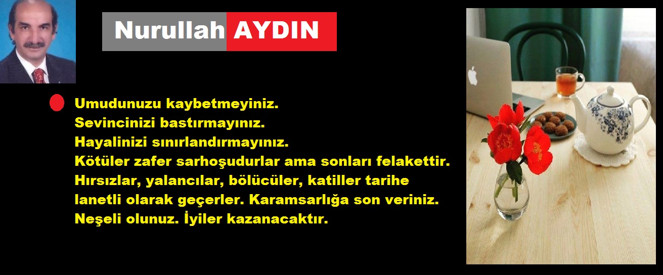 n_aydın