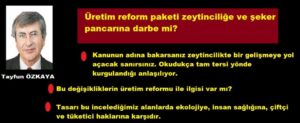 Üretim reform paketi zeytinciliğe ve şeker pancarına darbe mi?