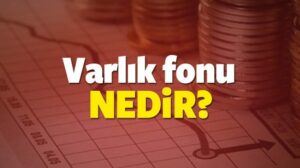 Varlık Fonu Böyle Bir Şey Değil