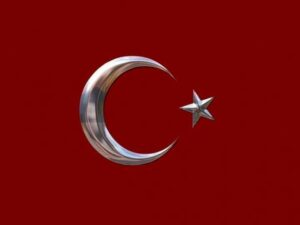 Turk Birligi Hakkinda bir iddia
