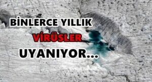 Fortitude dizisi Gerçek oluyor!. NASA, Alaska’da 32 bin yıl önce donan bir bakteriyi hayata döndürdü