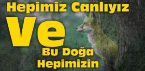 Hepimiz Canlıyız