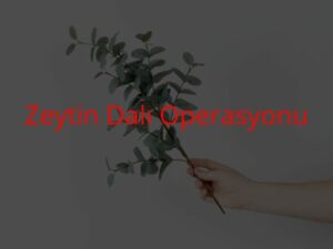 “Astana Paktı” ya da ayı ile yatağa girmek!