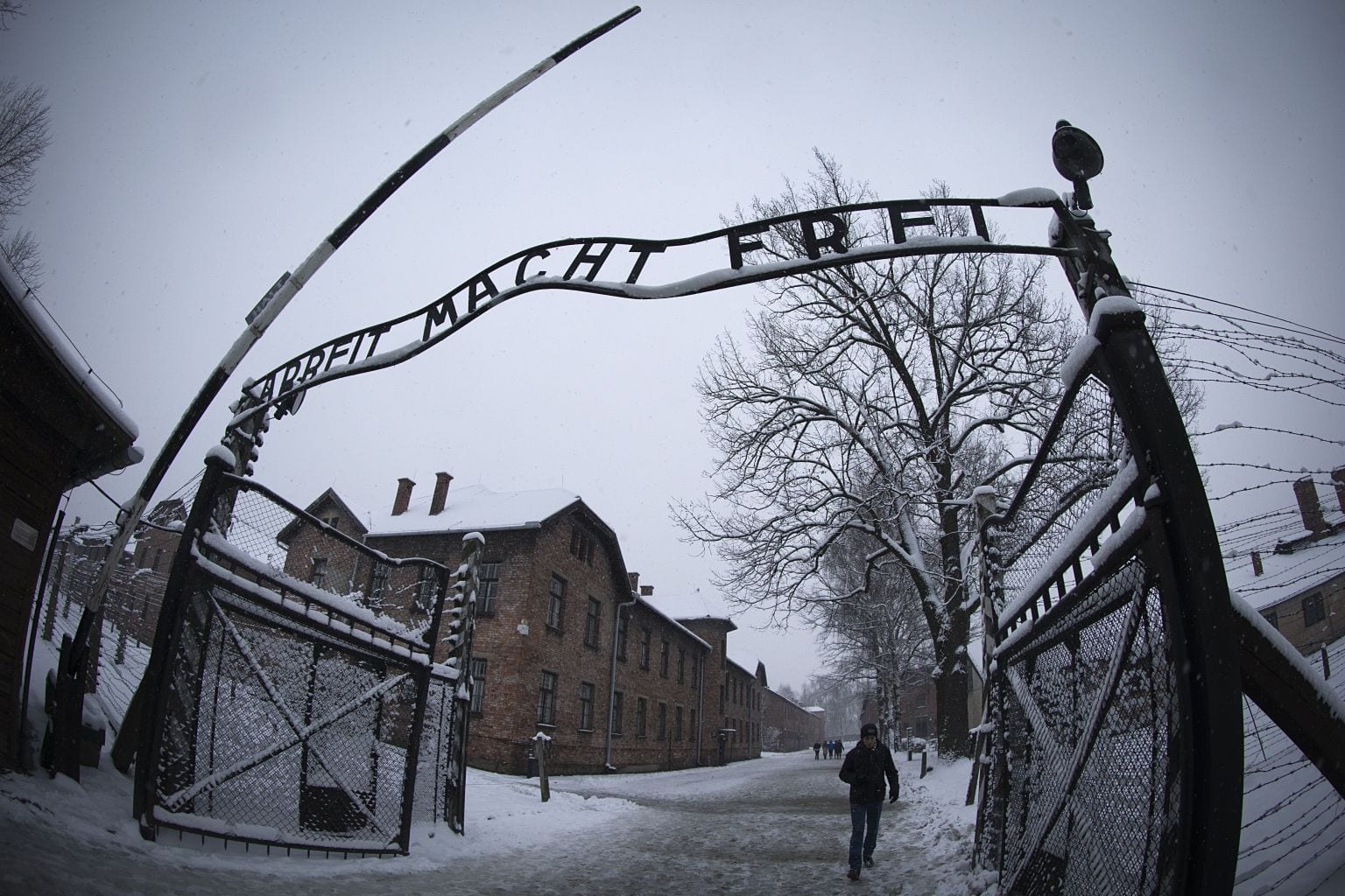 Nazi'lerin toplama kampı, Auschwitz, Birkenau, Polonya