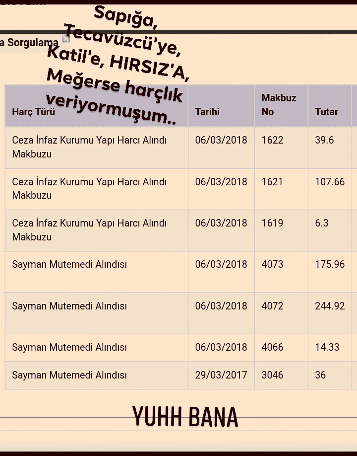 SAPIK, TACİZCİ, HIRSIZ VE TERÖRİST’LER İÇİN SİZDEN KESİLEN PARALAR..Mehti SARAÇ