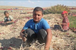 Ülkemizin son hali: Her dört çocuktan biri yoksul
