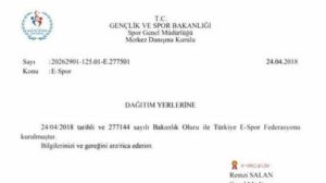 Türkiye Espor Federasyonu kuruldu.