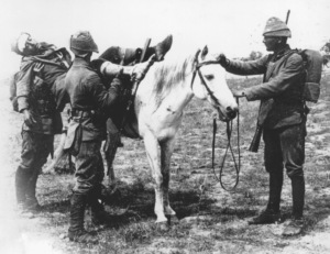Çanakkale Savaşı yıllarında yaşanmış gerçek hikaye