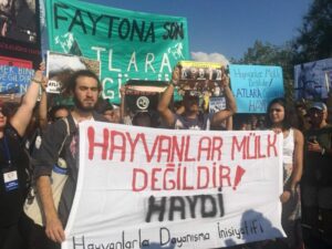 Büyükada’da Fayton eylemi
