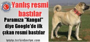 Darphane’de Sivas Kangalı diye yanlış resim bastılar