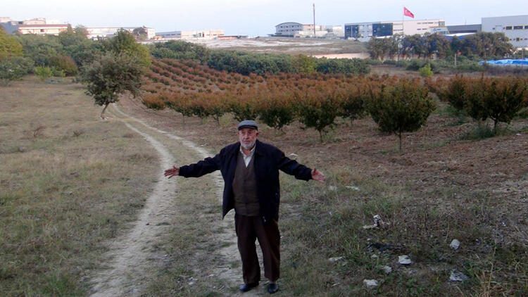 50 milyonluk vurgun! Dolandırıldığını tesadüfen öğrendi