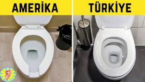 Amerika’da Türkiye’den FARKLI Olduğunu Bilmediğiniz 7 Şey