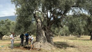 Muğla’ya turist akını…
