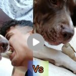 TÜRKİYE'NİN EN EĞLENCELİ VLOG'U !!
