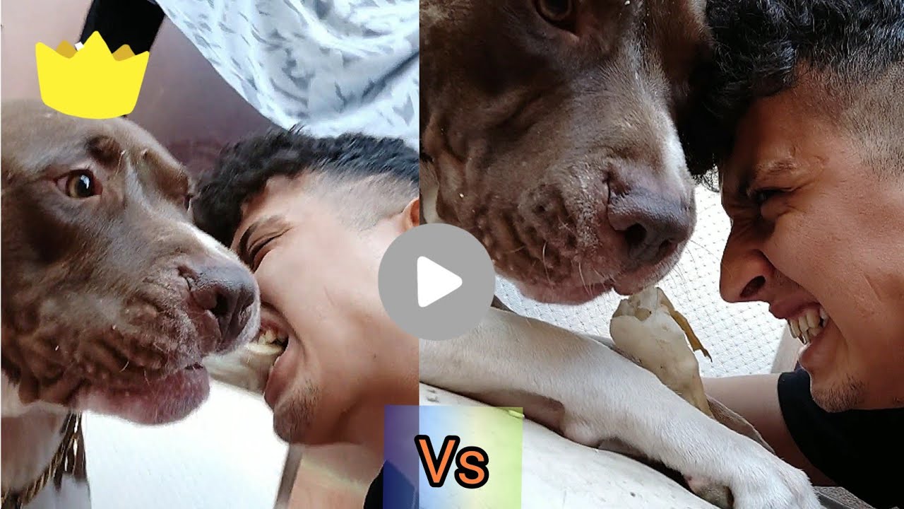 TÜRKİYE'NİN EN EĞLENCELİ VLOG'U !!