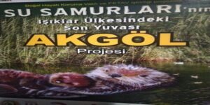 SU SAMURU GÖRDÜN MÜ?