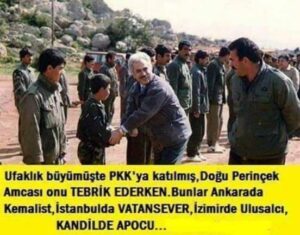 Doğu Perinçek’in PKK sevgisinin sırrı