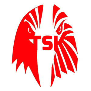 Türk Siber Konseyi