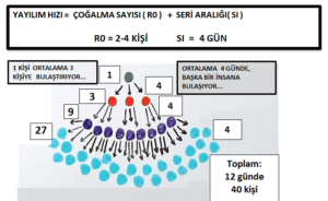 corona-yayilim-hizi