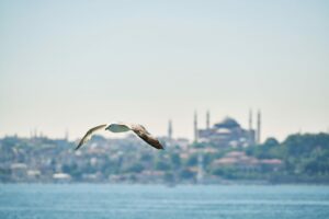 Ayasofya Hitabesi