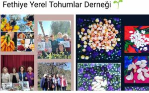 YEREL TOHUM GELECEĞİMİZDİR !!