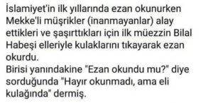 Eli Kulağında