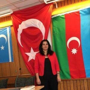 Güney Azərbaycan bizim masaüstü dərdimizdir