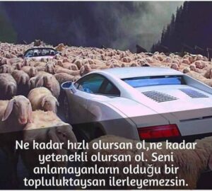 Araç ve sürüş meraklılarının en sık sordukları sorular
