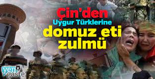 Çin'den Uygur Türklerine domuz eti zulmü - Yeni Gaste | Haber, Gazete, Son Dakika Haberler, Haberler - Mobil