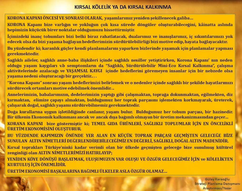 KORONA KAPANINDA YAŞAMSAL İHTİYAÇ ANALİZLERİ