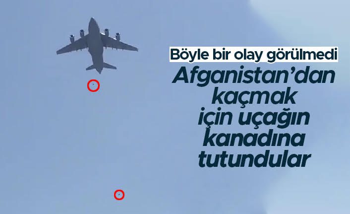 HİÇ UTANMADINIZ