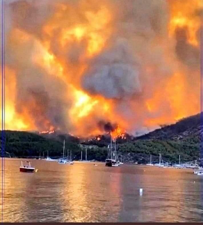 ORMAN YANGINLARI ÜZERİNE