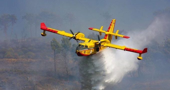 DÜNYADA ORMAN YANGINLARI VE TÜRKİYE’DE ORMAN YANGINLARI: SORUNLAR VE ÖNLEMLER