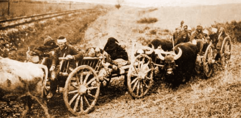 Türkiye’nin göç haritası…