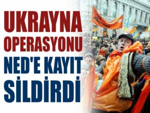 Demokrasi Havarisi NED