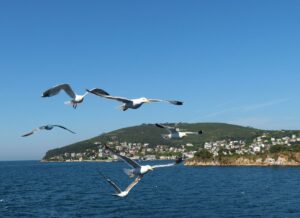 İstanbul, Rusların ana durağı oldu…