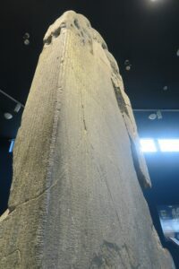 UNESCO 15 Aralık’ı ‘Dünya Türk Dili Ailesi Günü’ ilan edilmiş!