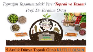 Toprak ve Yaşam