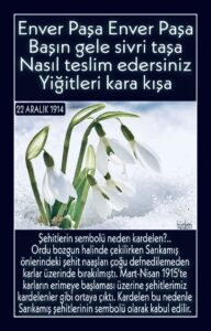 SARIKAMIŞ VE ENVER PAŞA