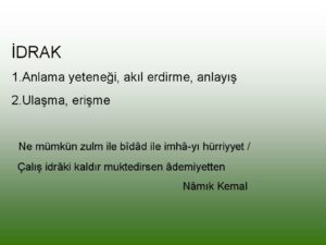 IDRAK GECIKMESI