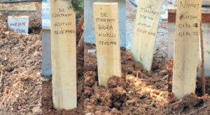 14 MART, TIP BAYRAMI ???