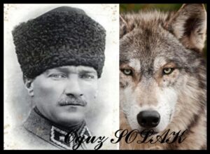 19 Mayıs ve Türkiye
