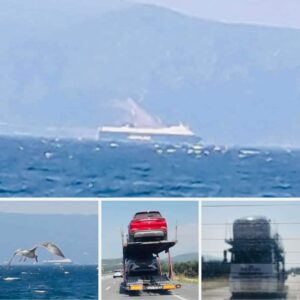Kafa karıştıran Togg’lar