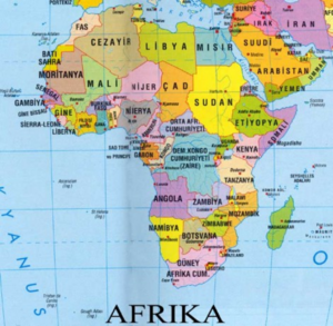 Zanzibar Soykırımı: Tarihi Arka Plan, Nedenleri, Sonuçları ve Sorumluları